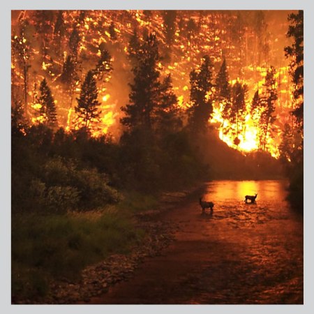 Wild-fires as a result of climate change