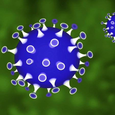 digital rendering of Covid protein spikes