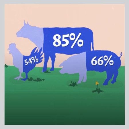 chicken, beef, and pork with percentage owned by monopolies