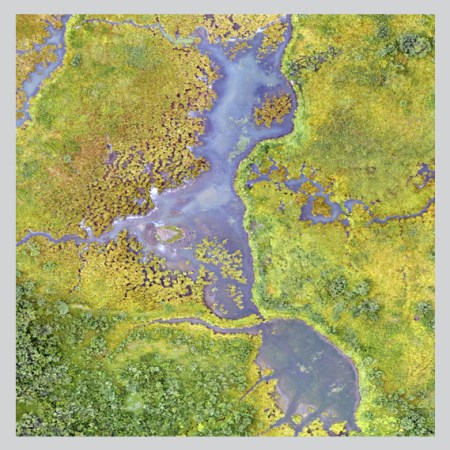 aerial photograph of wetlands