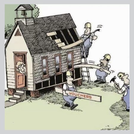 cartoon about school vouchers